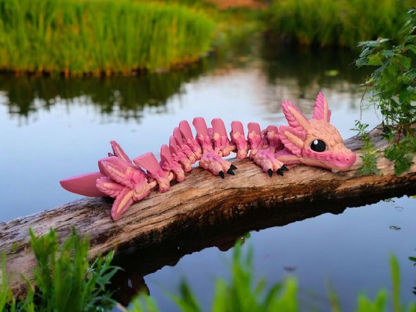 Axolotl Dragons