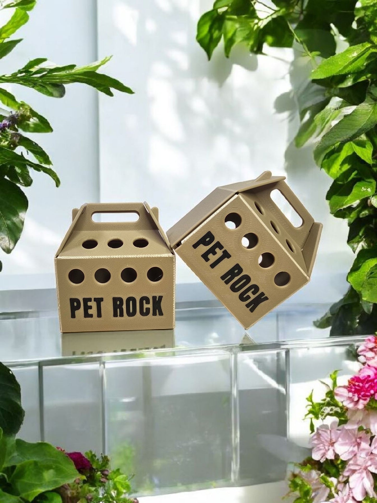 Mystery Pet Rocks
